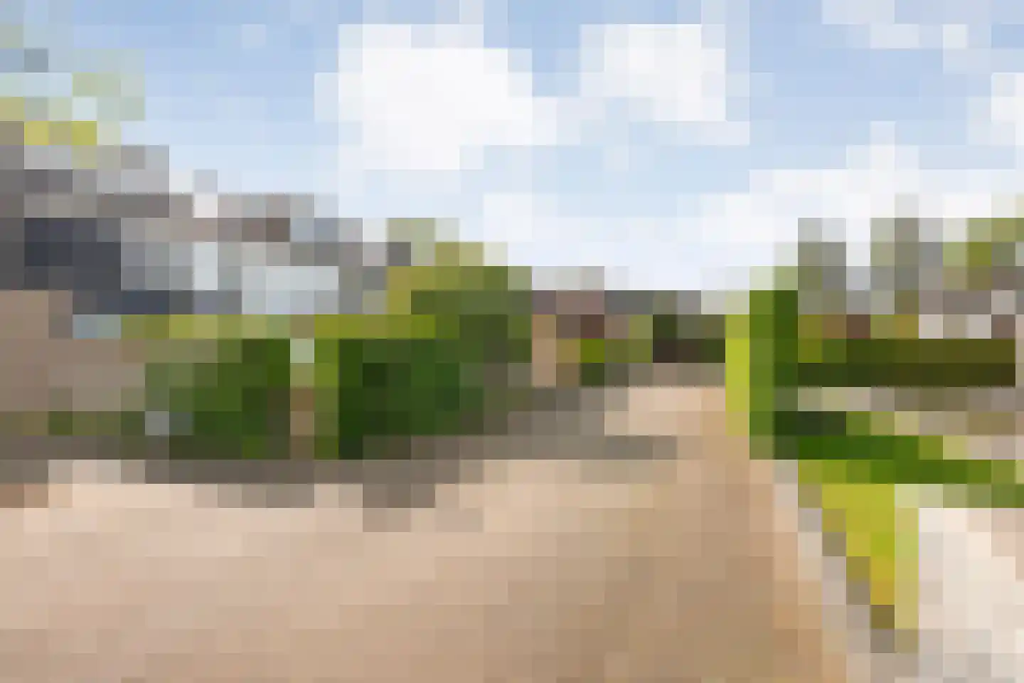 Dolte 20 Zwolle thumbnail 43