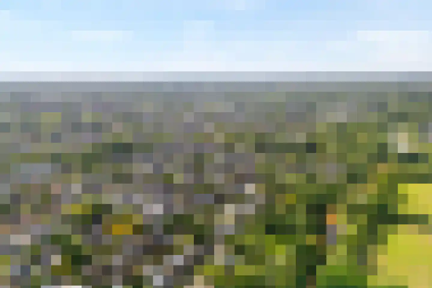 Dolte 20 Zwolle thumbnail 47