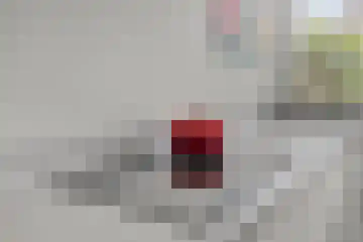 Dolte 3 Zwolle thumbnail 10
