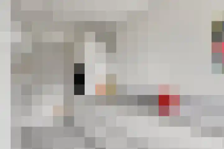 Dolte 3 Zwolle thumbnail 12