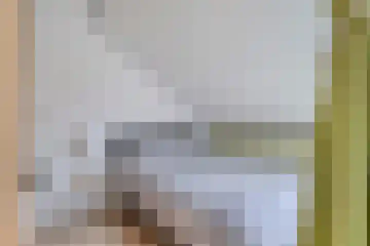 Dolte 3 Zwolle thumbnail 15
