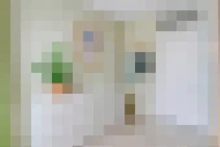 Dolte 3 Zwolle thumbnail 16
