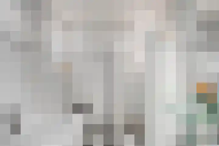 Dolte 3 Zwolle thumbnail 18