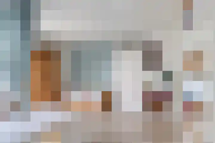 Dolte 3 Zwolle thumbnail 21