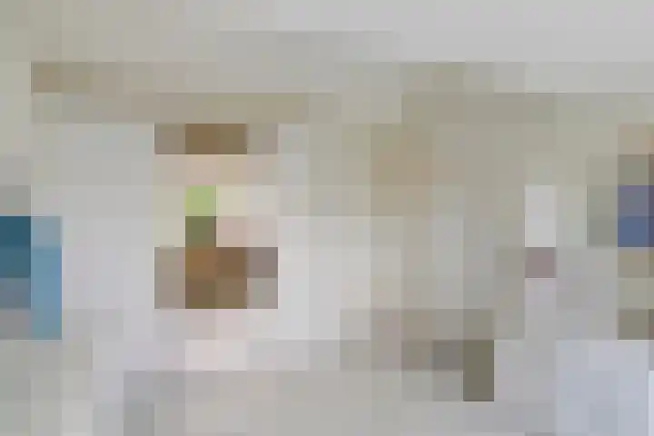 Dolte 3 Zwolle thumbnail 25