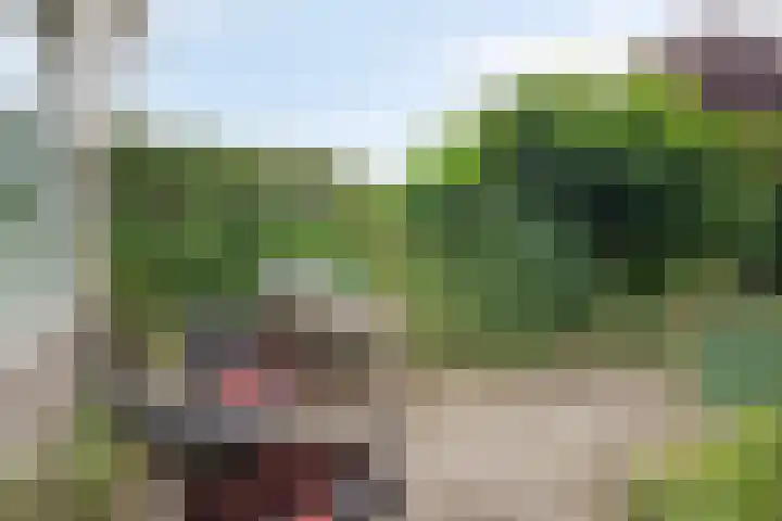 Dolte 3 Zwolle thumbnail 26