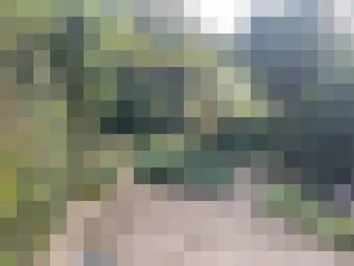 Dolte 3 Zwolle thumbnail 27