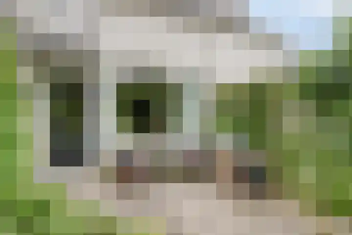 Dolte 3 Zwolle thumbnail 29
