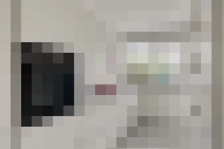 Dolte 3 Zwolle thumbnail 9