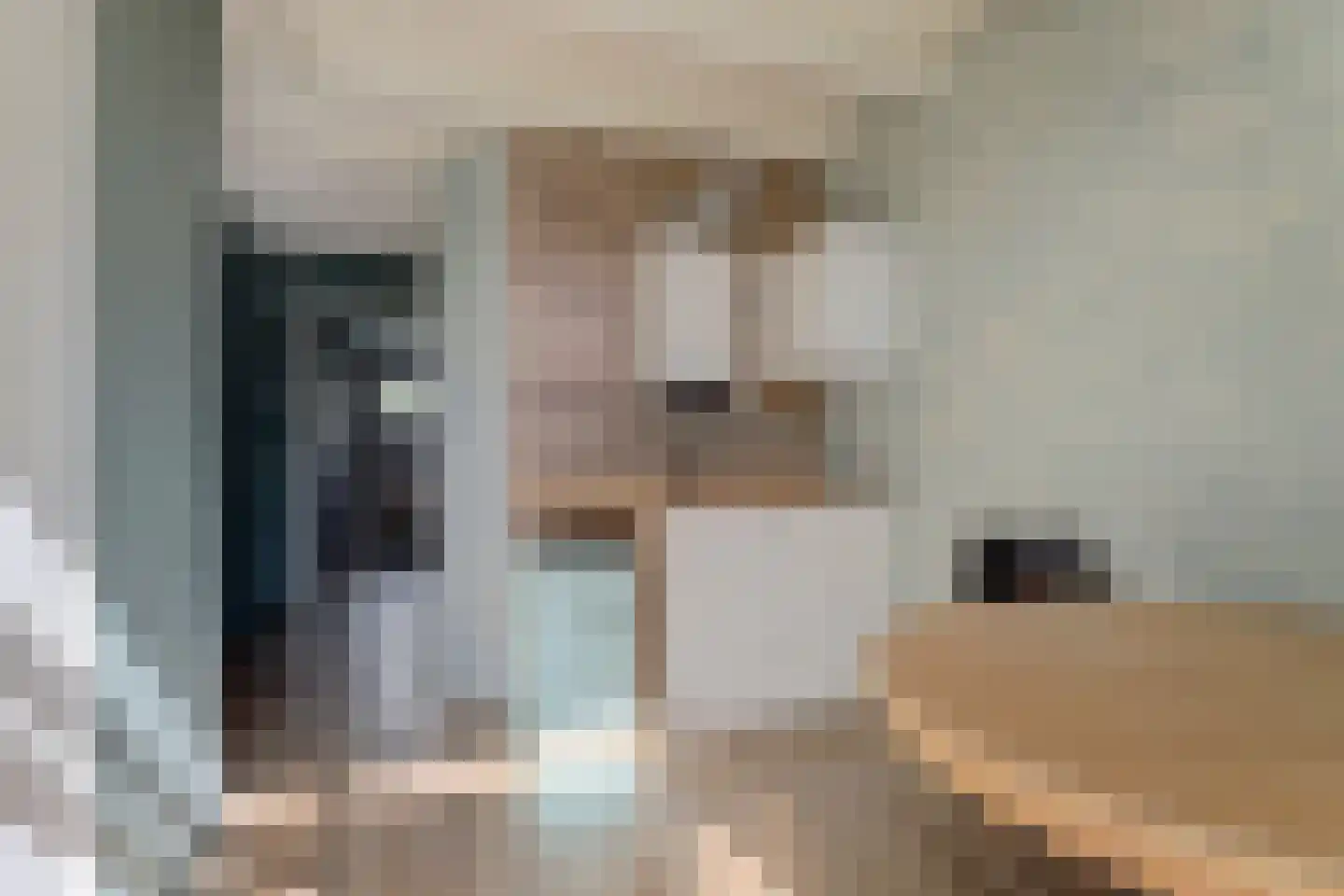 Doltewâl 2 Workum thumbnail 13