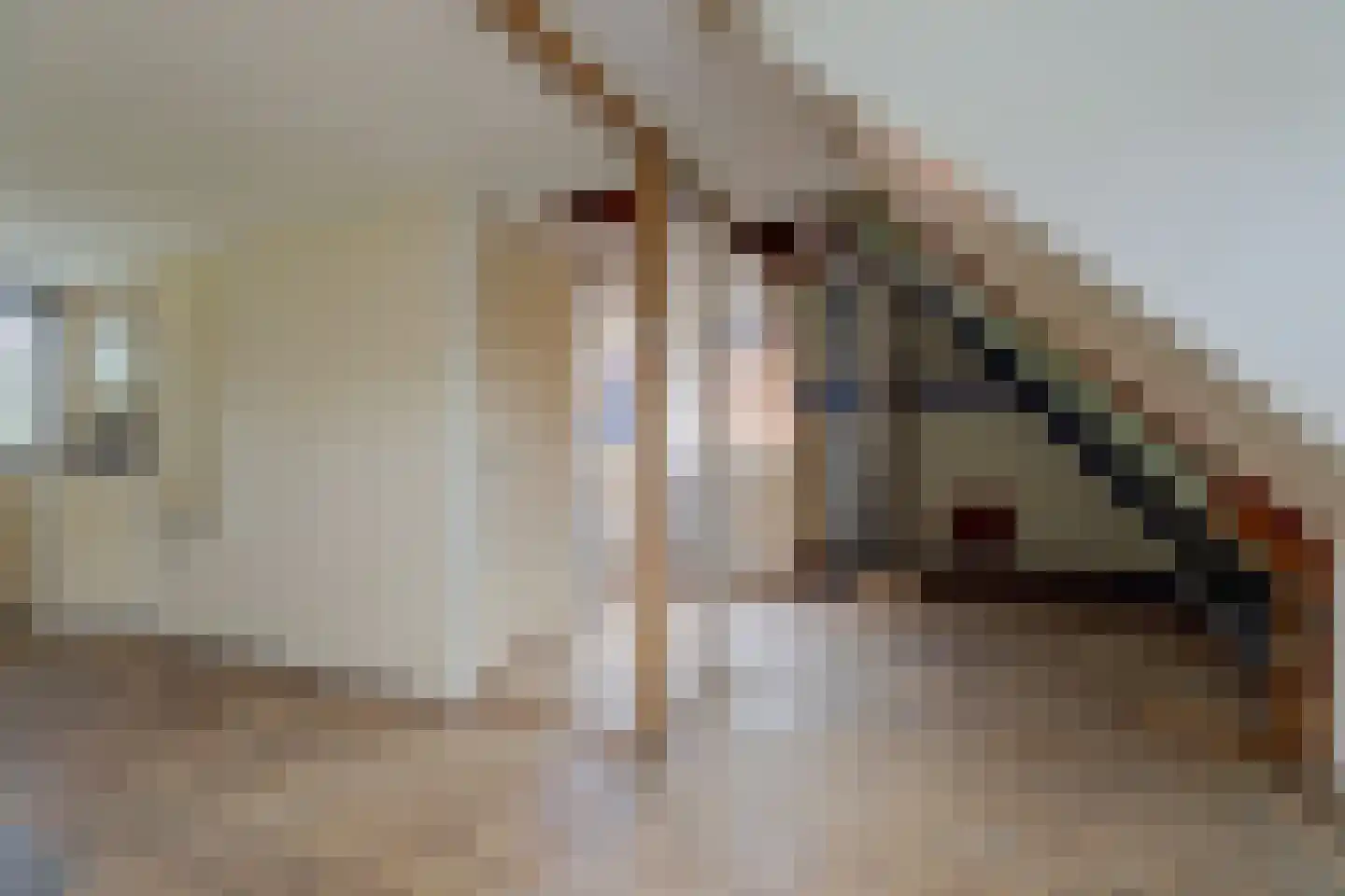 Doltewâl 2 Workum thumbnail 19