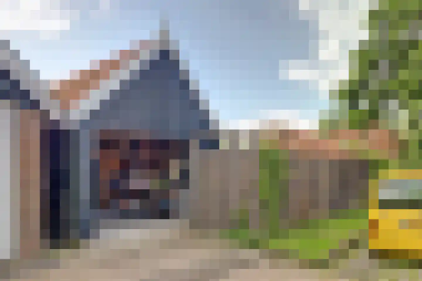 Doltewâl 2 Workum thumbnail 29