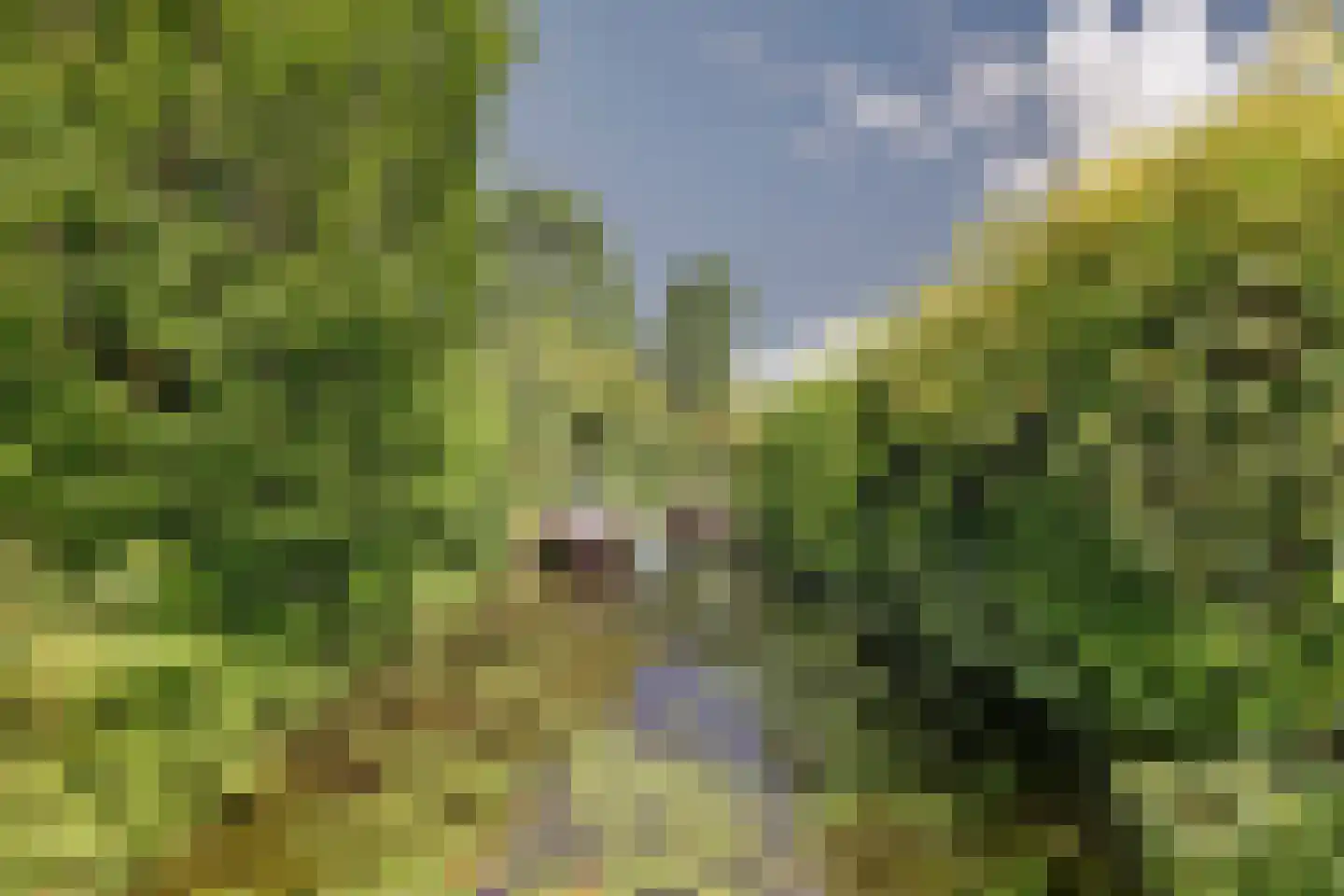 Doltewâl 2 Workum thumbnail 30
