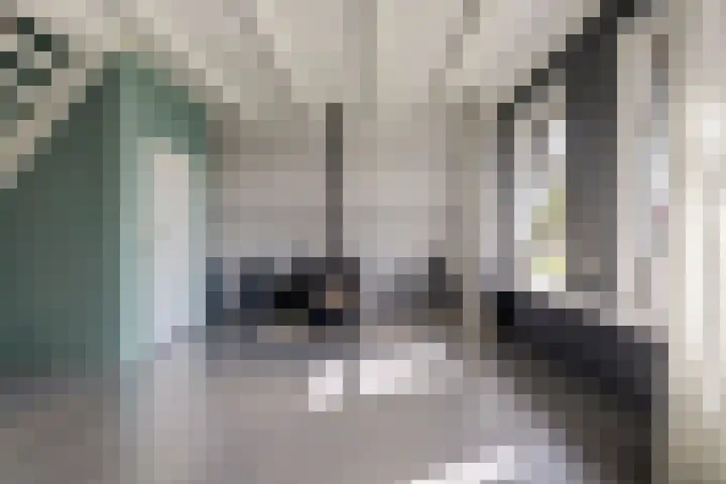 Doltewâl 2 Workum thumbnail 8