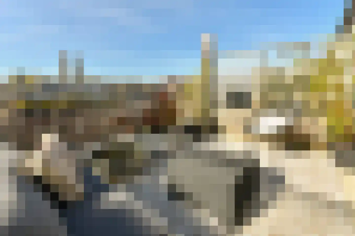Dom H. van der Laanstraat 17 Amsterdam thumbnail 21