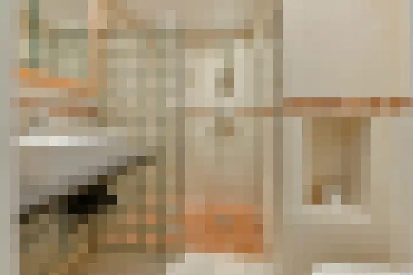Dom H. van der Laanstraat 17 Amsterdam thumbnail 25