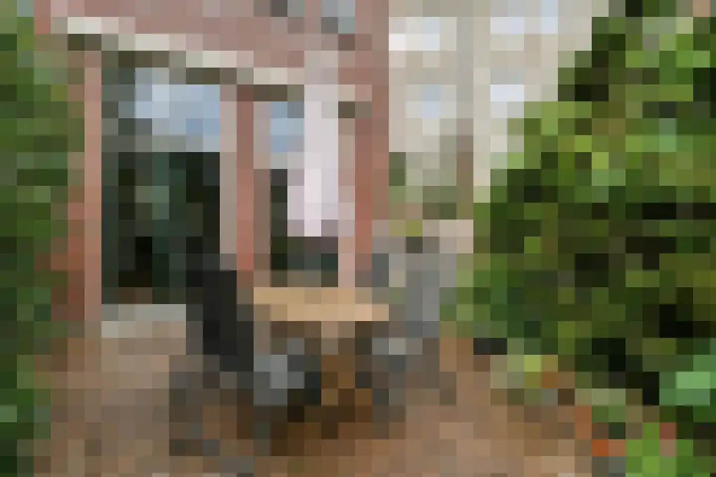 Dom H. van der Laanstraat 5 Amsterdam thumbnail 14