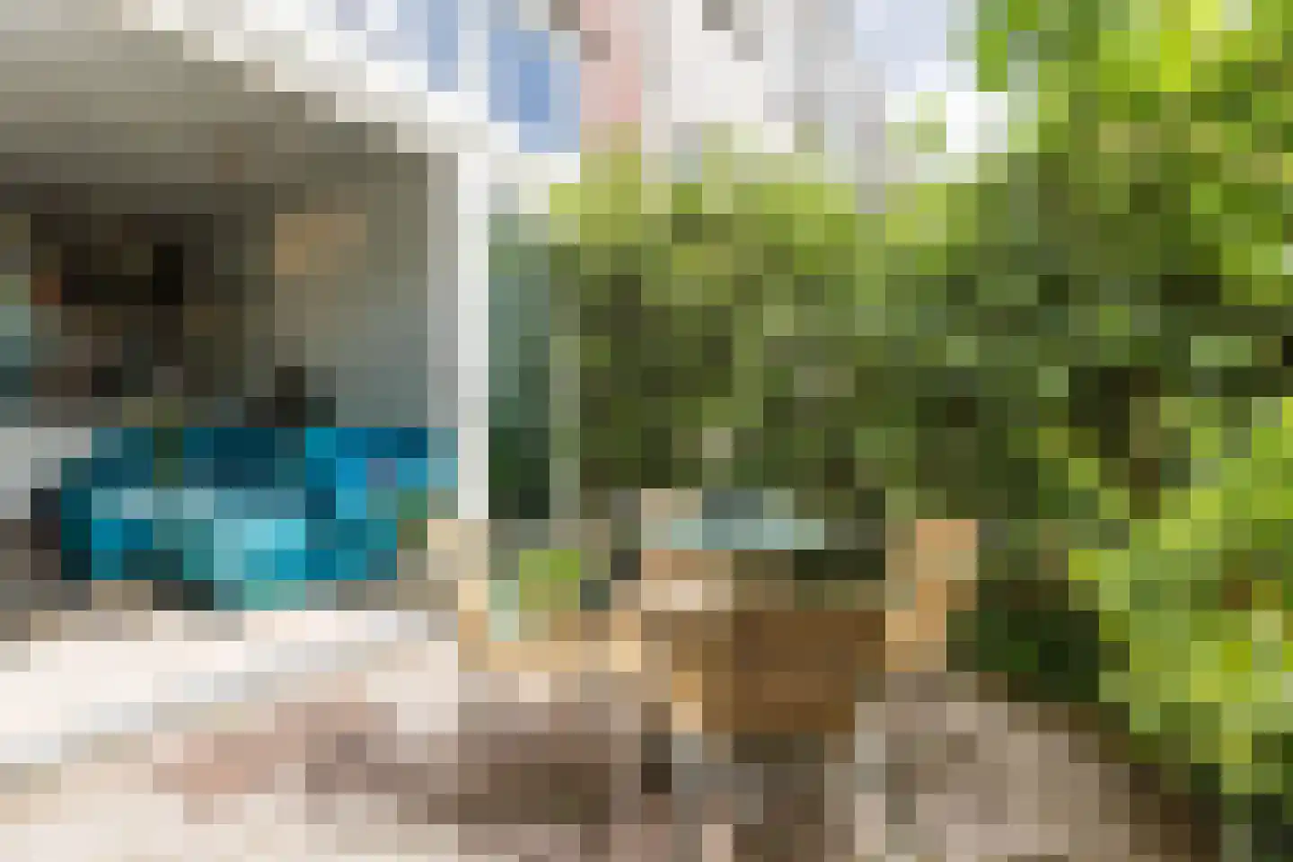 Dom H. van der Laanstraat 8 Amsterdam thumbnail 51