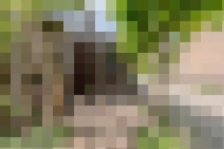 Dom Helder Camarastraat 1 Zaandam thumbnail 10