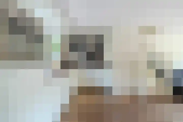 Dom Helder Camarastraat 1 Zaandam thumbnail 15