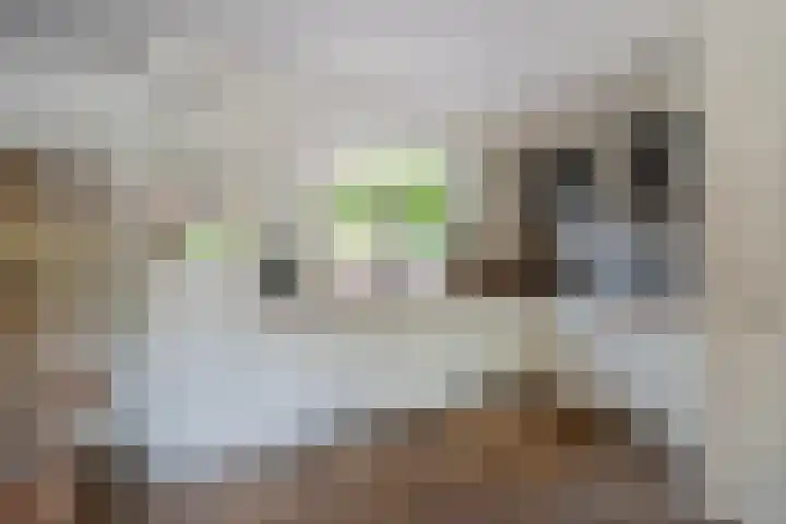 Dom Helder Camarastraat 1 Zaandam thumbnail 16