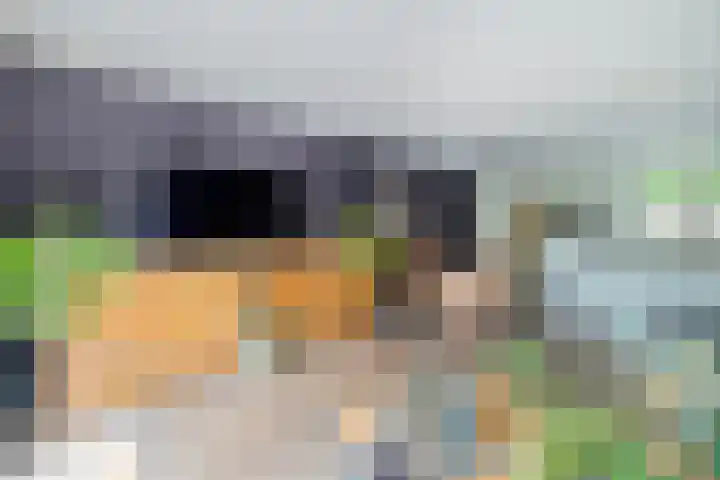 Dom Helder Camarastraat 1 Zaandam thumbnail 22