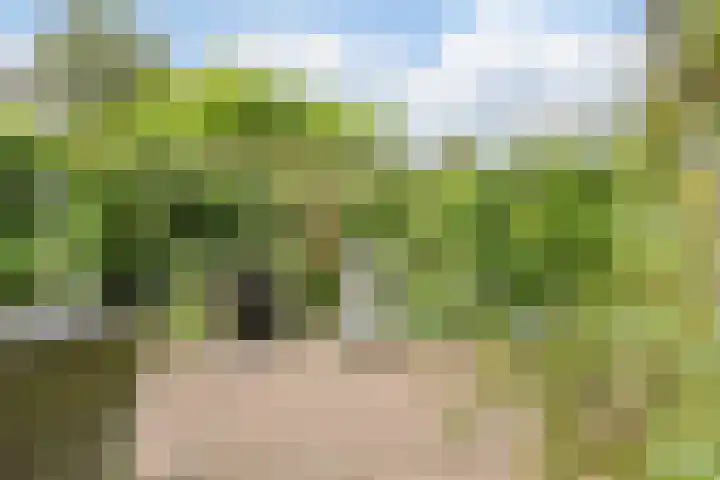 Dom Helder Camarastraat 1 Zaandam thumbnail 39
