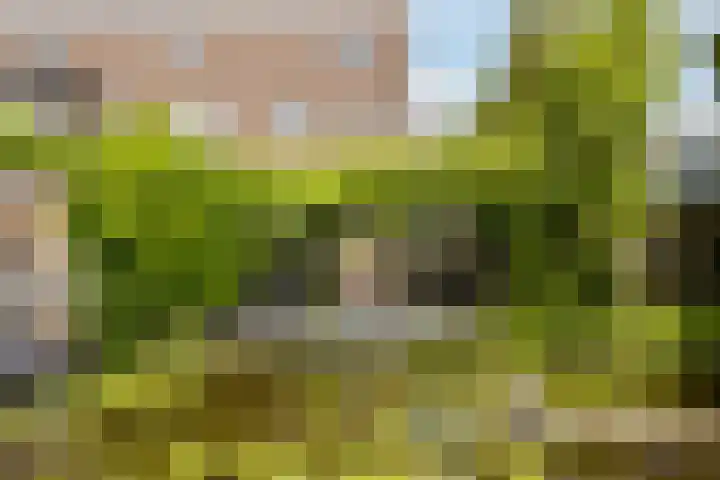 Dom Helder Camarastraat 1 Zaandam thumbnail 4