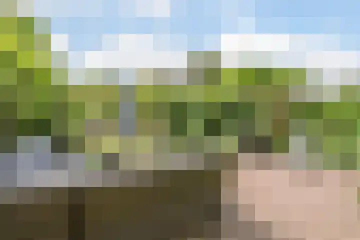 Dom Helder Camarastraat 1 Zaandam thumbnail 40
