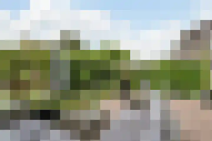 Dom Helder Camarastraat 1 Zaandam thumbnail 42