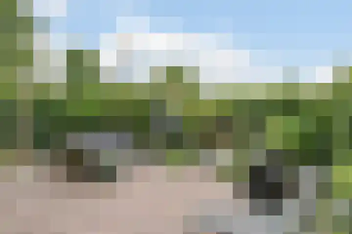 Dom Helder Camarastraat 1 Zaandam thumbnail 43