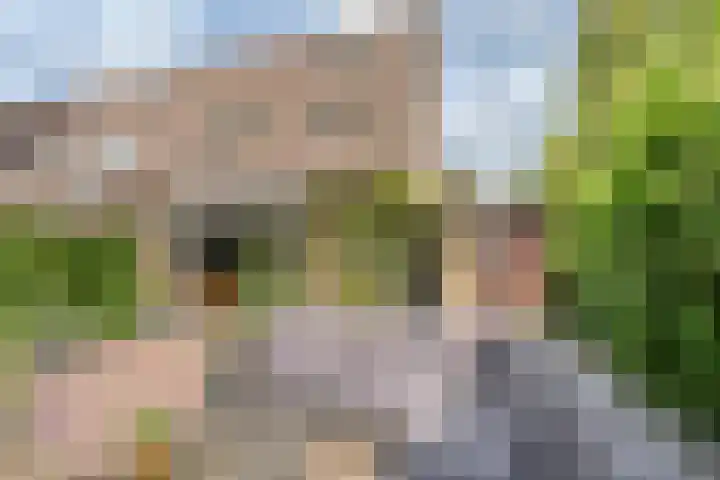 Dom Helder Camarastraat 1 Zaandam thumbnail 49