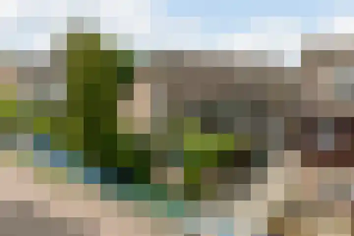 Dom Helder Camarastraat 1 Zaandam thumbnail 5