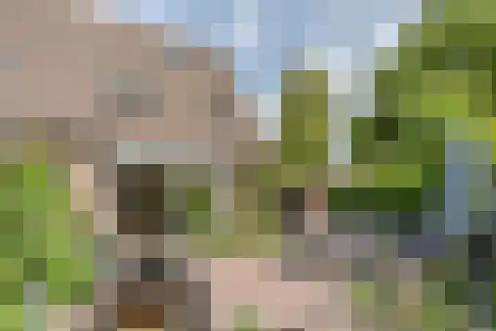 Dom Helder Camarastraat 1 Zaandam thumbnail 50