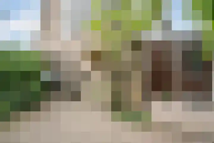 Dom Helder Camarastraat 1 Zaandam thumbnail 53