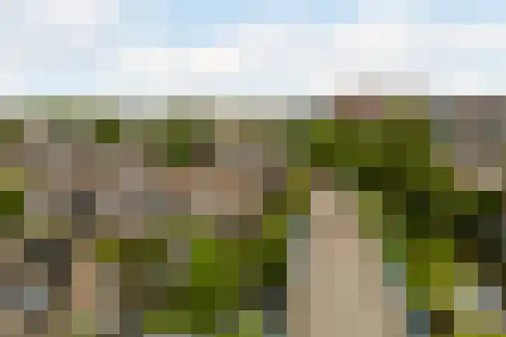 Dom Helder Camarastraat 1 Zaandam thumbnail 55