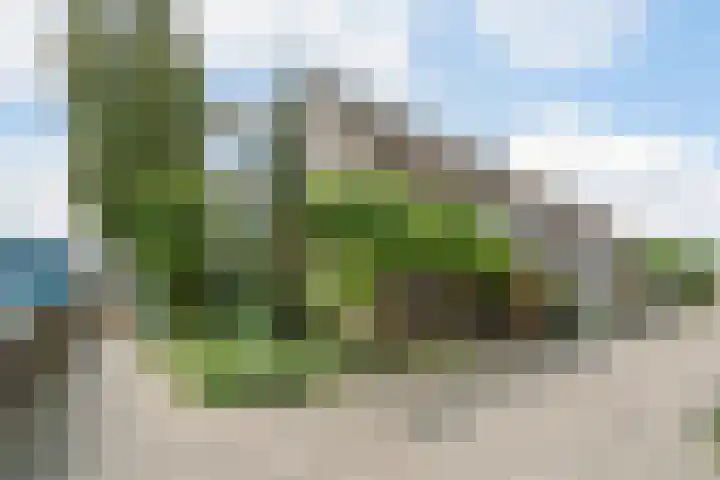 Dom Helder Camarastraat 1 Zaandam thumbnail 6
