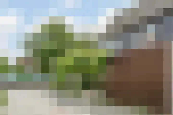 Dom Helder Camarastraat 1 Zaandam thumbnail 7