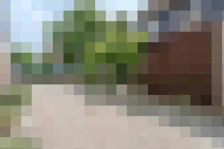 Dom Helder Camarastraat 1 Zaandam thumbnail 8