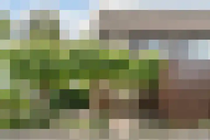 Dom Helder Camarastraat 1 Zaandam thumbnail 9