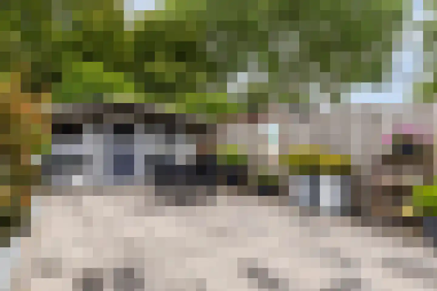 Dom Helder Camarastraat 10 Purmerend thumbnail 5