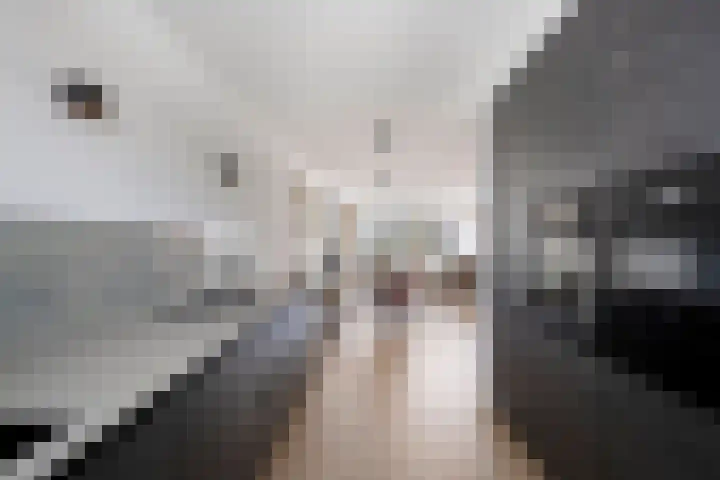 Dom Helder Camarastraat 119 Purmerend thumbnail 22