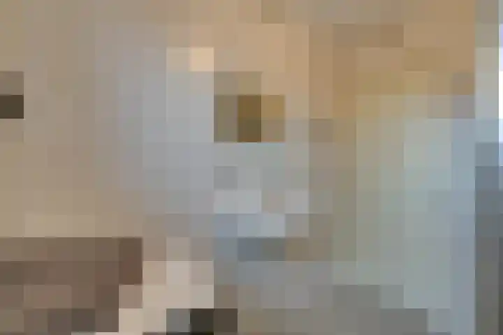 Dom Helder Camarastraat 134 Purmerend thumbnail 44