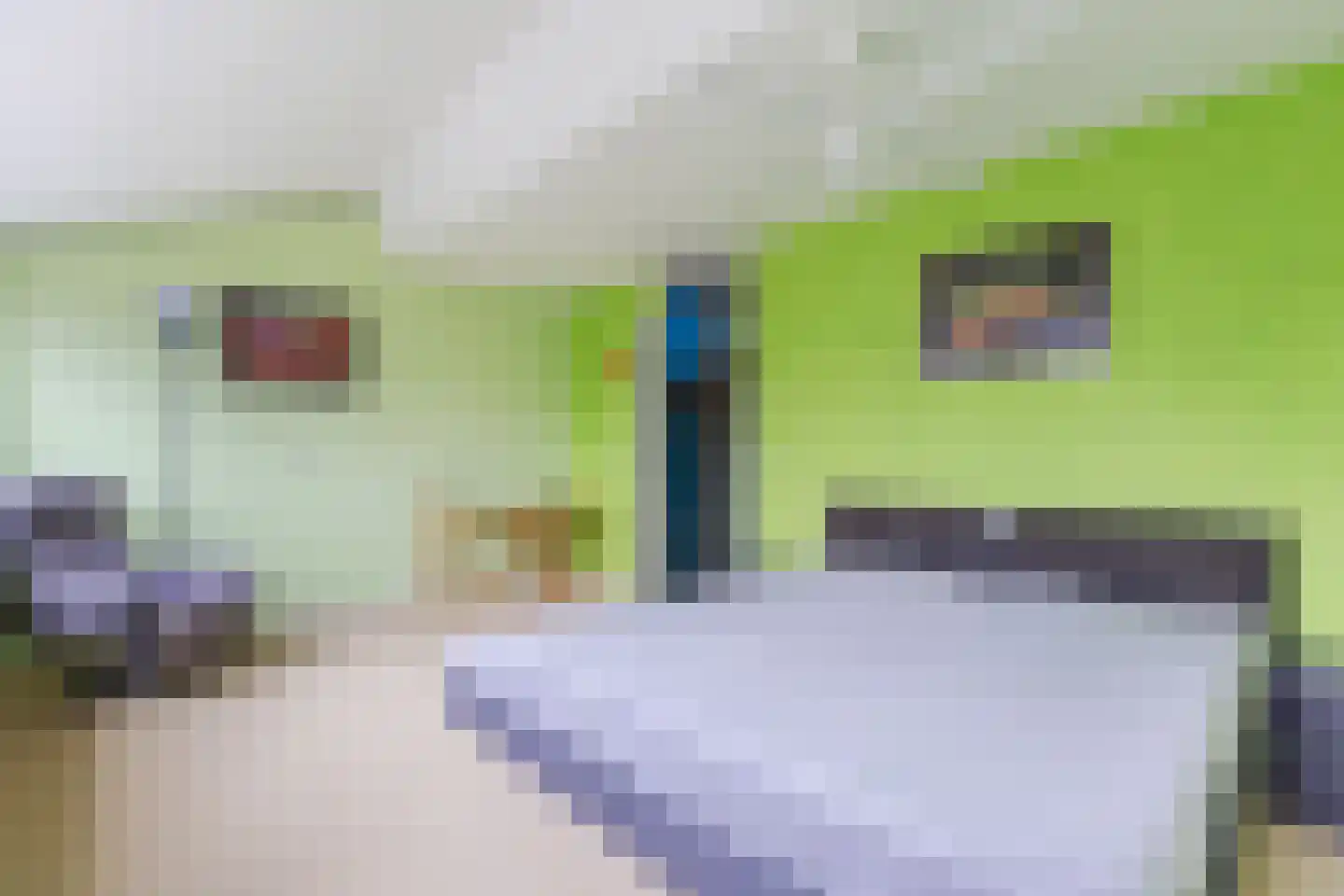 Dom Helder Camarastraat 4 Zaandam thumbnail 19