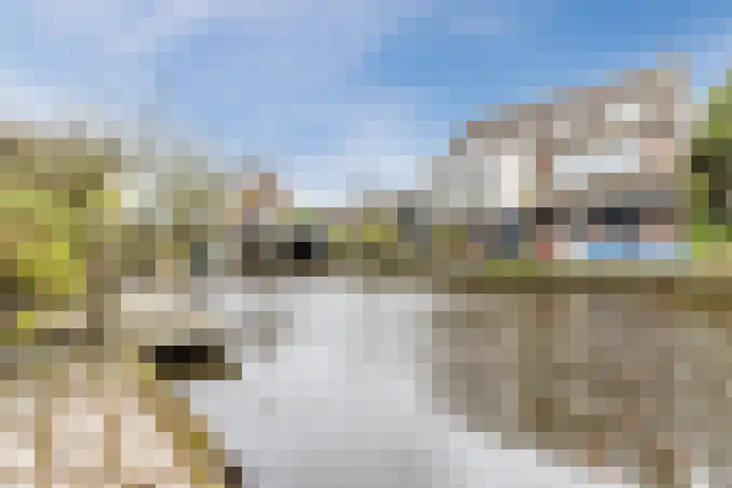 Dom Helder Camarastraat 4 Zaandam thumbnail 33