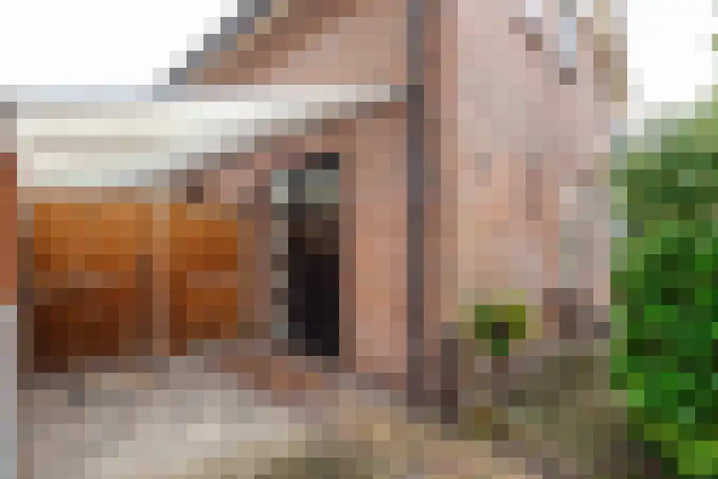 Dom Huybenlaan 10 A Egmond-Binnen thumbnail 35