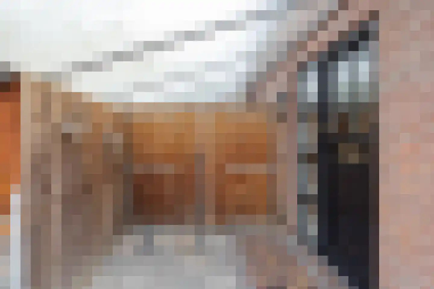 Dom Huybenlaan 10 A Egmond-Binnen thumbnail 36