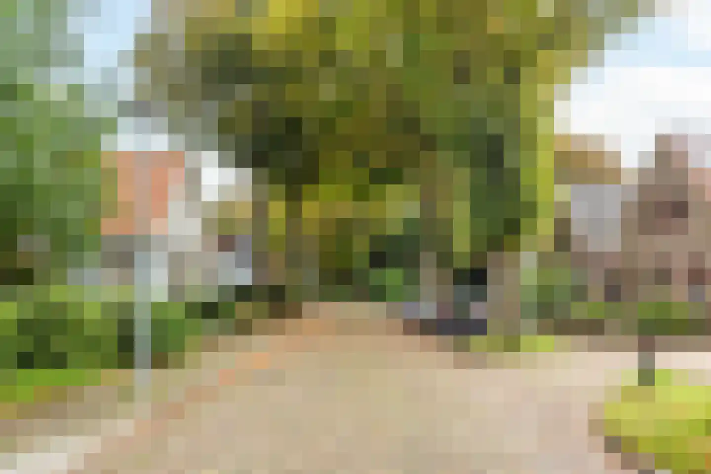 Dom Huybenlaan 10 A Egmond-Binnen thumbnail 41