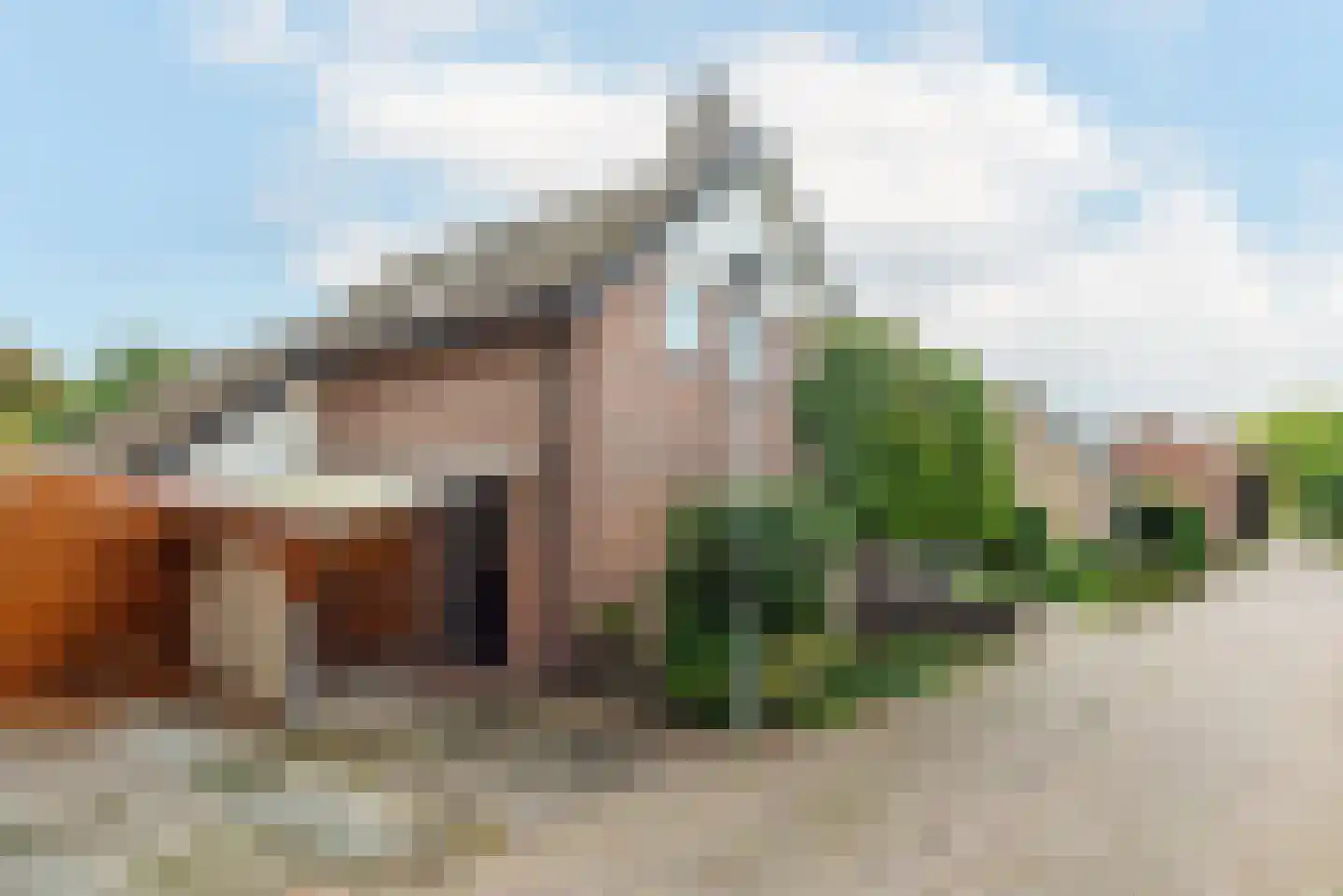 Dom Huybenlaan 10 A Egmond-Binnen thumbnail 46