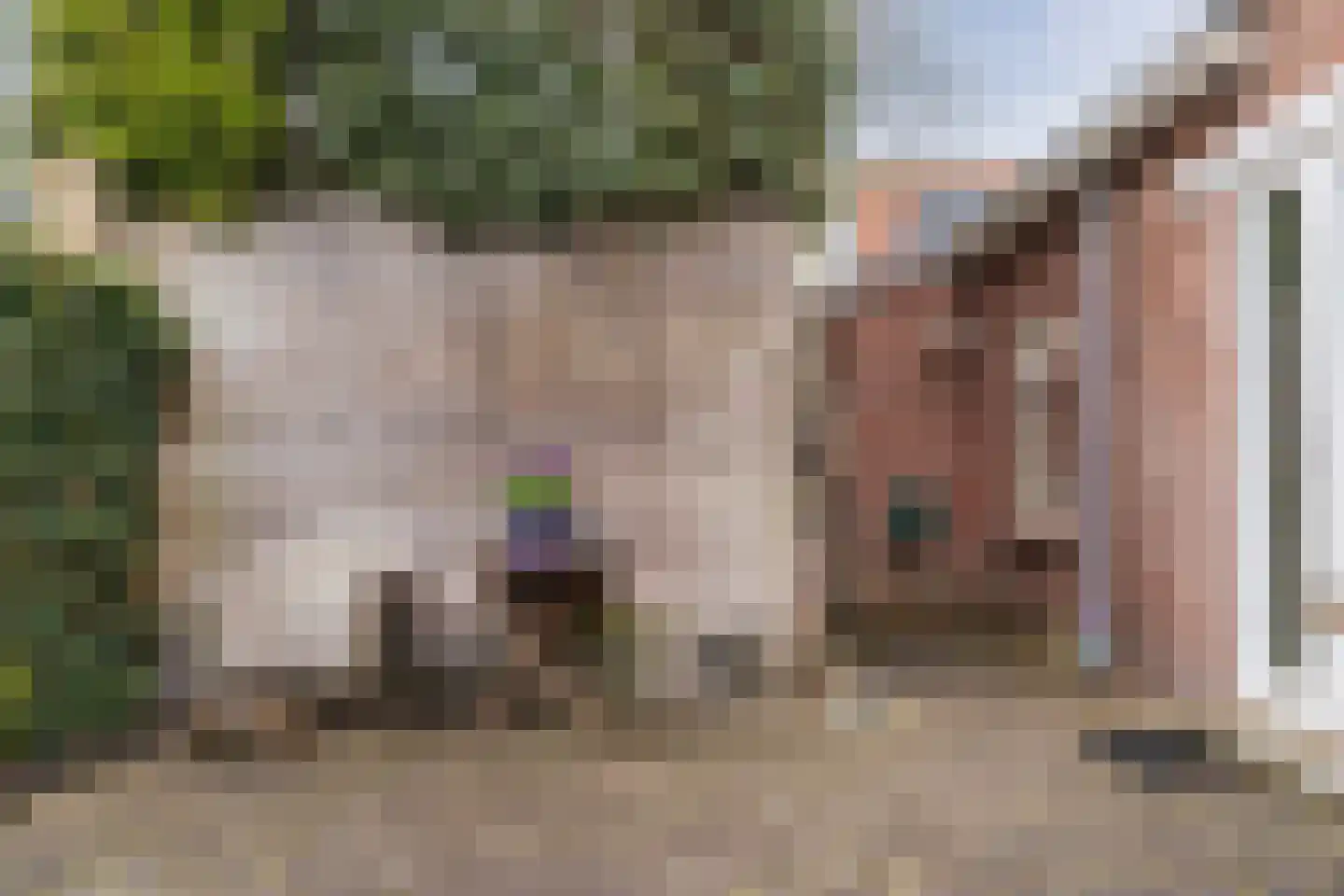 Dom Huybenlaan 27 A Egmond-Binnen thumbnail 33